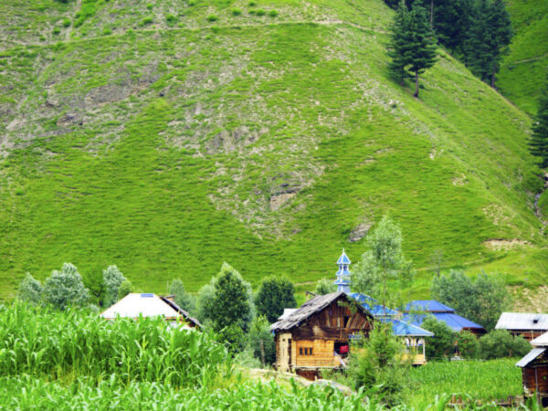 Kashmir Honeymoon Package  5 Night & 6 Days - Image 6