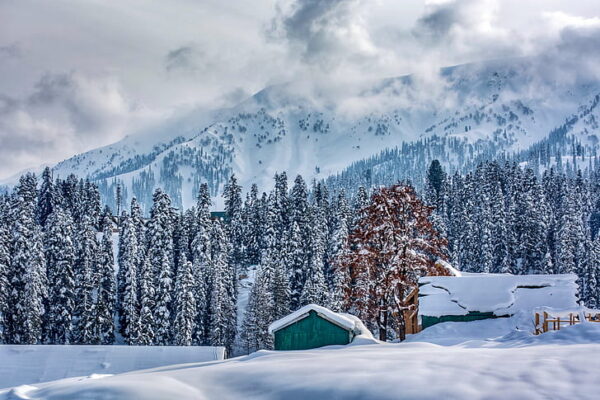 Kashmir Honeymoon Package  5 Night & 6 Days